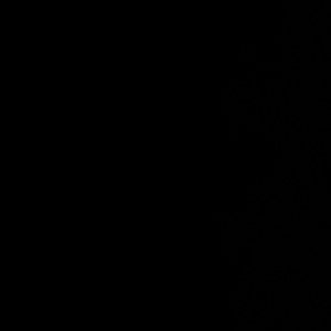 Meet your Posher, Janisel